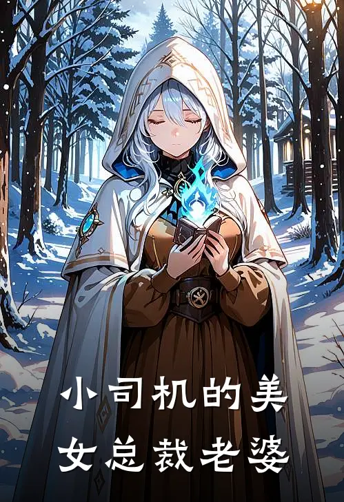 小司机的美女总裁老婆